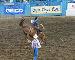 Nevada - Reno Rodeo 2011