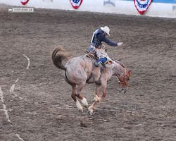 Nevada - Reno Rodeo 2011