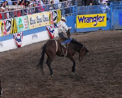Nevada - Reno Rodeo 2011