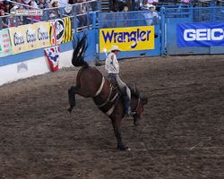 Nevada - Reno Rodeo 2011