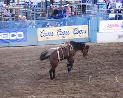 Nevada - Reno Rodeo 2011