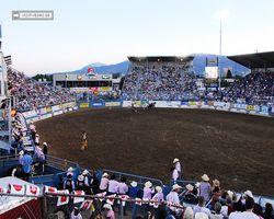 Nevada - Reno Rodeo 2011