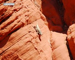 Nevada - Valley of Fire