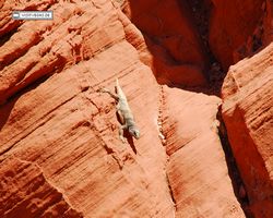 Nevada - Valley of Fire