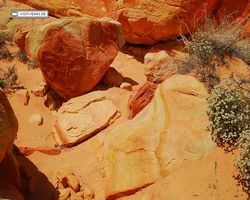 Nevada - Valley of Fire