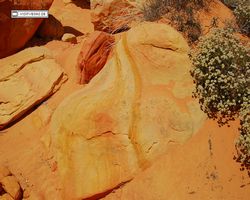 Nevada - Valley of Fire