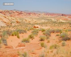 Nevada - Valley of Fire