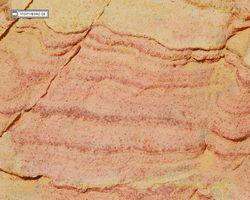 Nevada - Valley of Fire