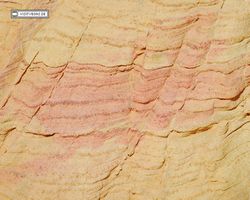 Nevada - Valley of Fire