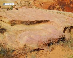 Nevada - Valley of Fire