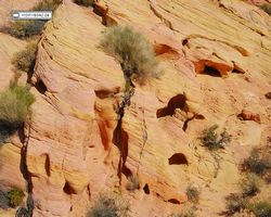 Nevada - Valley of Fire