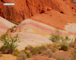 Nevada - Valley of Fire