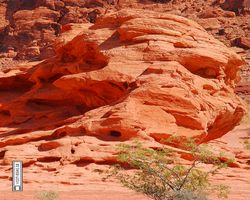 Nevada - Valley of Fire