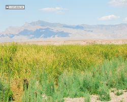 Nevada - Valley of Fire