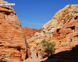 Nevada - Valley of Fire