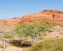 Nevada - Valley of Fire