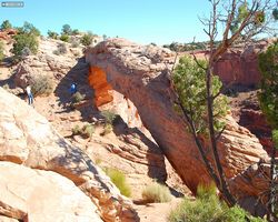 Utah - Canyonlands National Park