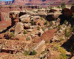 Utah - Canyonlands National Park