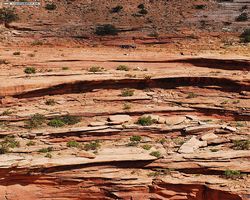 Utah - Canyonlands National Park