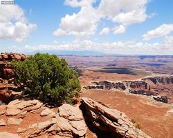Utah - Canyonlands National Park