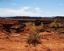 Utah - Canyonlands National Park