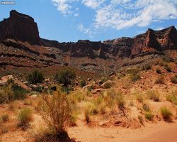 Utah - Canyonlands National Park