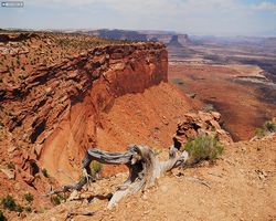 Utah - Canyonlands National Park