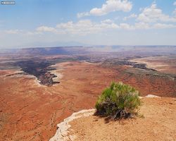 Utah - Canyonlands National Park