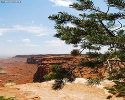 Utah - Canyonlands National Park