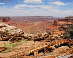 Utah - Canyonlands National Park