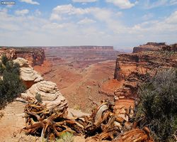 Utah - Canyonlands National Park